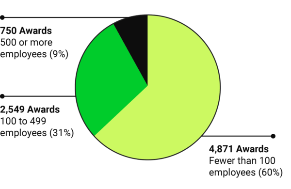 Pie chart of company sizes receiving awards.